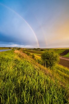 Spring rapeseed and small farmlands fields after rain evening view, cloudy sunset sky with colorful rainbow and rural hills. Natural seasonal, weather, climate, farming, countryside beauty concept.