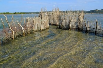 Traditional Tsonga fish trap built in the Kosi Bay estuary, Tongaland, South Africa

