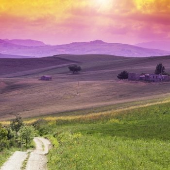 Sicilian landscape at sunrise, hills, fields, flowers, pasture and sunlight