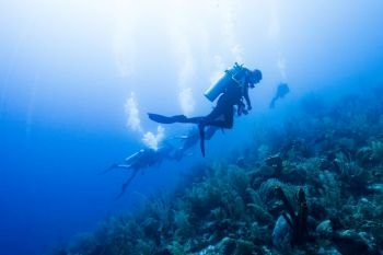 Scuba divers underwater, Dive Site, East Wall, Belize