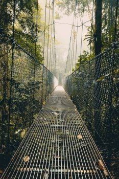 Hanging Bridge in the Forest. Rope Bridge. The Way through the Rainforest. Light in the End of a Way. Arenal Hanging Bridges. Costa Rica. Wild Costa Rica