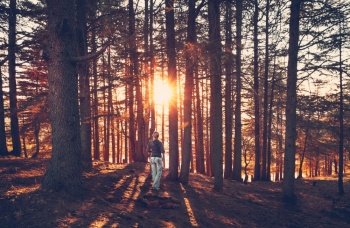 Woman walking in the forest, enjoying beautiful view on bright sun rays  break through tree trunks, amazing autumn nature, peaceful walk in fall forest
