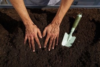 Farmer man hands dirty on substratum of urban garden orchard in raised bed