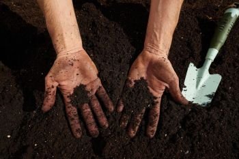 Farmer man hands dirty on substratum of urban garden orchard