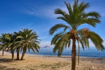 Altea beach Playa La Roda palm trees in Alicante of Spain