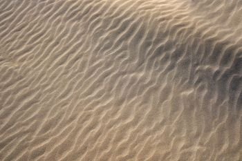 Dunes beach sand texture in Costa Dorada of Catalunya