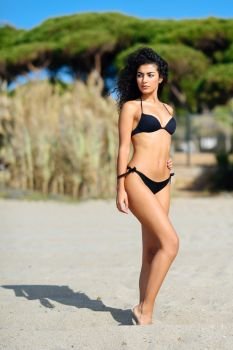 Young arabic woman with beautiful body in swimwear on a tropical beach. Brunette female with curly long hairstyle wearing black bikini. Pine tree at the background. Young arabic woman with beautiful body in swimwear on a tropical beach.