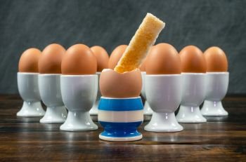Toast soldier dipped into one boiled egg in a blue striped eggcup surrounded by white egg cups on a wooden table 