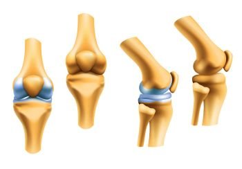 Human joints vector icons for orthopedics and surgery medical design. Vector isolated icons of leg knee or arm and hand joints with cartilage synovial fluid for orthopedics treatment medicine pills. Vector icons of joints and bones