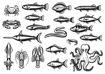 Fish and marine animal or seafood sketch line icons. Vector isolated set of lobster crab, octopus and prawn shrimp, eel or pike and ocean mackerel with herring or flounder and trout for fishing. Vector sketch icons of fish and seafood