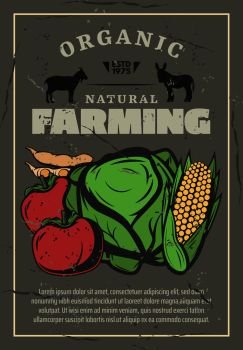 Farming cattle and agriculture, retro poster. Vector cabbage, tomato or bean and corn vegetables harvest and farmer cattle, goat and donkey domestic animals. Farm vegetables harvest and cattle