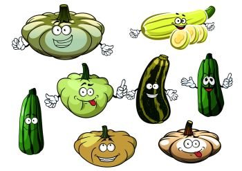 Happy cartoon zucchini, marrows and squashes vegetables, isolated on white. for agriculture and healthy food themes. Zucchini, marrow and squash vegetables