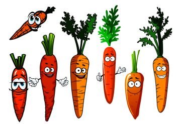 Funny orange carrot vegetables cartoon characters with curly green leaves and smiling faces, for agriculture harvest and vegetarian food design. Cartoon isolated orange carrot vegetables 