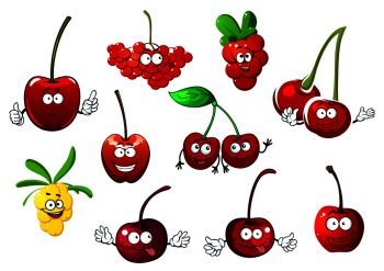 Funny juicy cartoon sweet cherry, rowanberry, cowberry and sea buckthorn fruit characters with green leaves and stems, isolated on white background. Cherry, rowanberry, cowberry and sea buckthorn