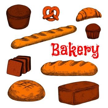 Flavorful rye, whole grain and wheat bread loaves, crispy french baguette and croissant, chocolate cupcake, toasts and sweet soft pretzel sketch icon. Colorful bakery and pastry products for healthy food design. Colorful sketched bakery and pastry products