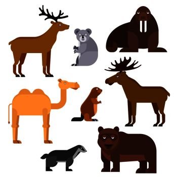 Wild animals flat cartoon isolated icons. Vector zoo emblems of walrus, koala, camel, elk, beaver, bear, deer, badger for infographic, kindergarten locker identity label, t-shirt. Wild animals flat cartoon isolated icons