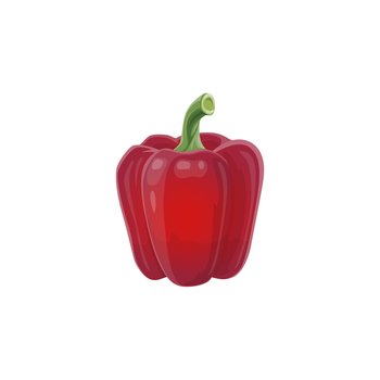 Red bell pepper vector natural fresh vegetable, healthy food isolated on white background. Cartoon paprika, Bulgarian pepper element for design, organic veggies, ripe plant, eco farm production. Red bell pepper vector natural garden vegetable