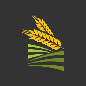 Cereal ear and spike of wheat, barley or rice, millet stalk vector icon. Bread bakery spikelet for grain food and agriculture, wheat ear or barley spike on green farm field, organic crop harvest. Cereal ear spike of wheat, barley or rice millet
