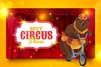 Shapito circus cartoon trained bear on bicycle. Vector stage of chapiteau top tent, red curtains, funfair or amusement park trained animal show with bear in funny costume riding on bike. Shapito circus cartoon trained bear on bicycle
