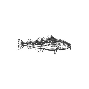 Horse mackerel with flounders, mackerel fishing sport emblem isolated monochrome icon. Vector aquatic animal, atlantic tuna bluefish trophy mascot. Scombridae saltwater fish, bluefin tuna, sardine. Bluefish mascot isolated mackerel tuna fish icon
