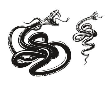 Angry snake tattoo, rattlesnake or viper, aggressive serpent. Angry vector snake with fangs and tongue attack, black viper or rattlesnake serpent for tattoo, mascot. Angry snake tattoo, rattlesnake or cobra viper