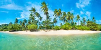 Panorama of beautiful beach on paradise tropical island with coconut palm trees, white sand and blue sea