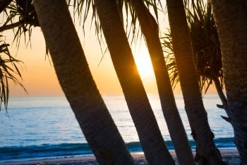 Beautiful landscape with sunset at tropical beach with palm trees