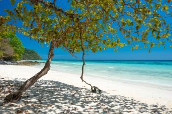Beautiful beach at tropical island with white sand, green trees and no people