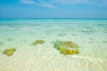 Seascape of tropical sea with clear transparent turquois water, corals, stones and blue sky. Can be used as summer vacation background
