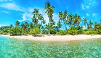 Panorama of beautiful beach on paradise tropical island with coconut palm trees, white sand and blue sea