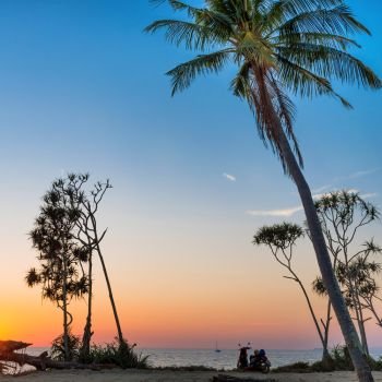 Palm tree and bike on tropical island beach at sunset