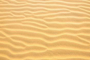 Texture of yellow desert sand dunes. Can be used as natural background