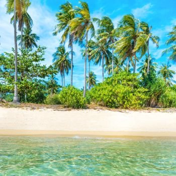 Beautiful beach at tropical island with palm trees, white sand and blue sea