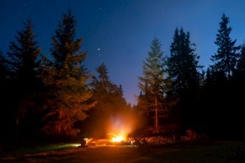 Bonfire in night forest and people near fire under night dark sky with stars
