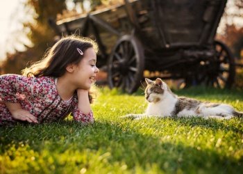 Cute little girl smiling to a fluffy cat