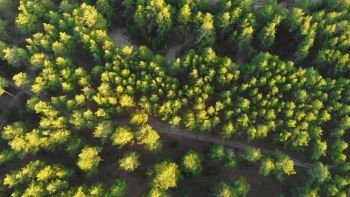 Drone flying over a green forest with waterfall in the Altai mountains. Aerial Drone footage 4K. Beautiful autumn summer landscape.. Drone flying over a green forest with waterfall in the Altai mountains.