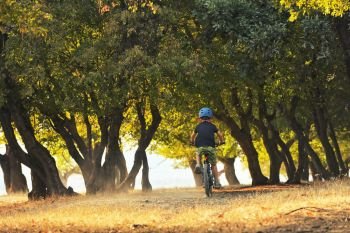 Little boy cycling on forest in autumn