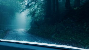 Driving a car through forest winding road on a foggy day. View from car on a wet road covered with fog. Blue misty weather. Handheld shot.. Driving a car through forest winding road on a foggy day