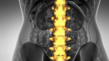backache in backbone. science anatomy scan of human spine bones glowing with yellow. Backache in Back Bones