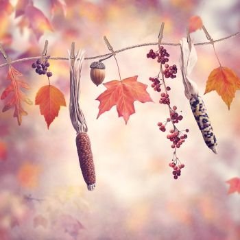 Autumn composition on colorful leaves background