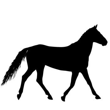 Animal silhouette of black mustang horse illustration.. Animal silhouette of black mustang horse illustration