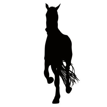 Animal silhouette of black mustang horse illustration.. Animal silhouette of black mustang horse illustration