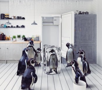 the group of the penguins find  frosen one in the fridge. Photo and 3d mix creative concept