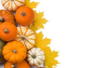 Many colorful pumpkins frame isolated on white background, autumn harvest, Halloween or Thanksgiving concept. Many orange pumpkins