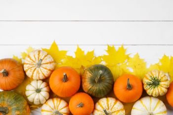 Many colorful pumpkins and maple leaves frame on wooden background , autumn harvest , Halloween or Thanksgiving concept. Pumpkins and maple leaves