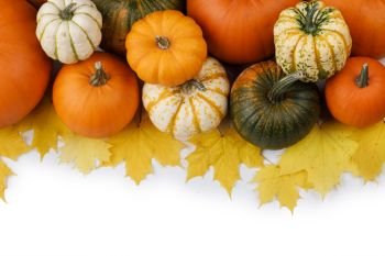 Many colorful pumpkins frame isolated on white background, autumn harvest, Halloween or Thanksgiving concept. Many orange pumpkins