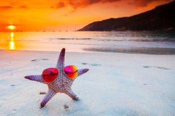 Starfish in sunglasses on sea beach at sunset, Bali, Seminyak, Double six beach. Starfish in sunglasses on sea beach