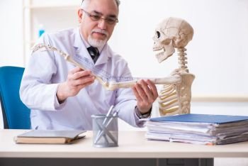 The aged male doctor with skeleton . Aged male doctor with skeleton 
