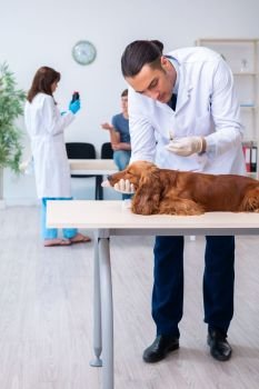 The vet doctor examining golden retriever dog in clinic. Vet doctor examining golden retriever dog in clinic