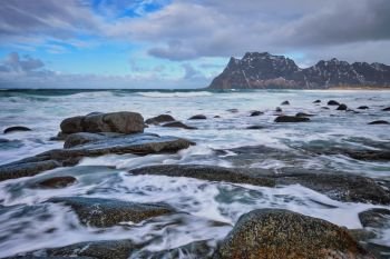 Rocks on beach of fjord of Norwegian sea in winter with snow. Utakliev beach, Lofoten islands, Norway. Beach of fjord in Norway